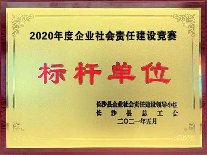 喜訊 | 天舟文化榮獲2020年度企業(yè)社會責任建設競賽“標桿單位”